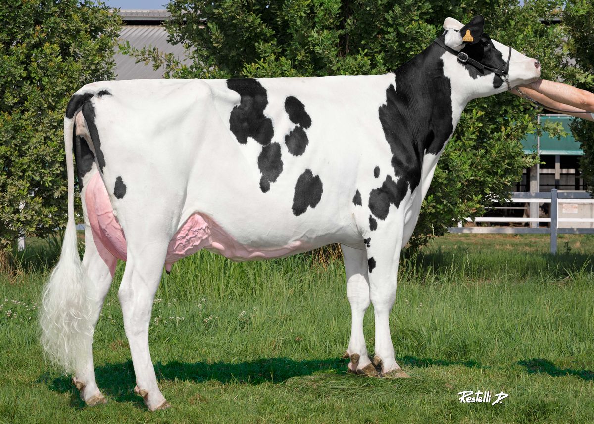 IT019992239846 GO-FARM FARAD (2a latt) – Go-Farm Di Gozzini Luca, Claudia E Liborio Fabio – Casalmorano – (CR)