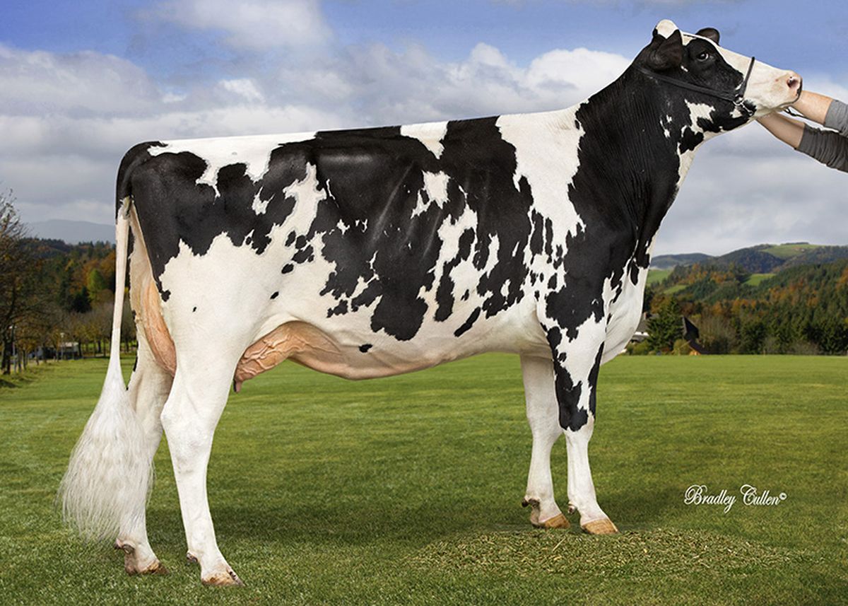 Bisnonna: COL CARMEN VG86