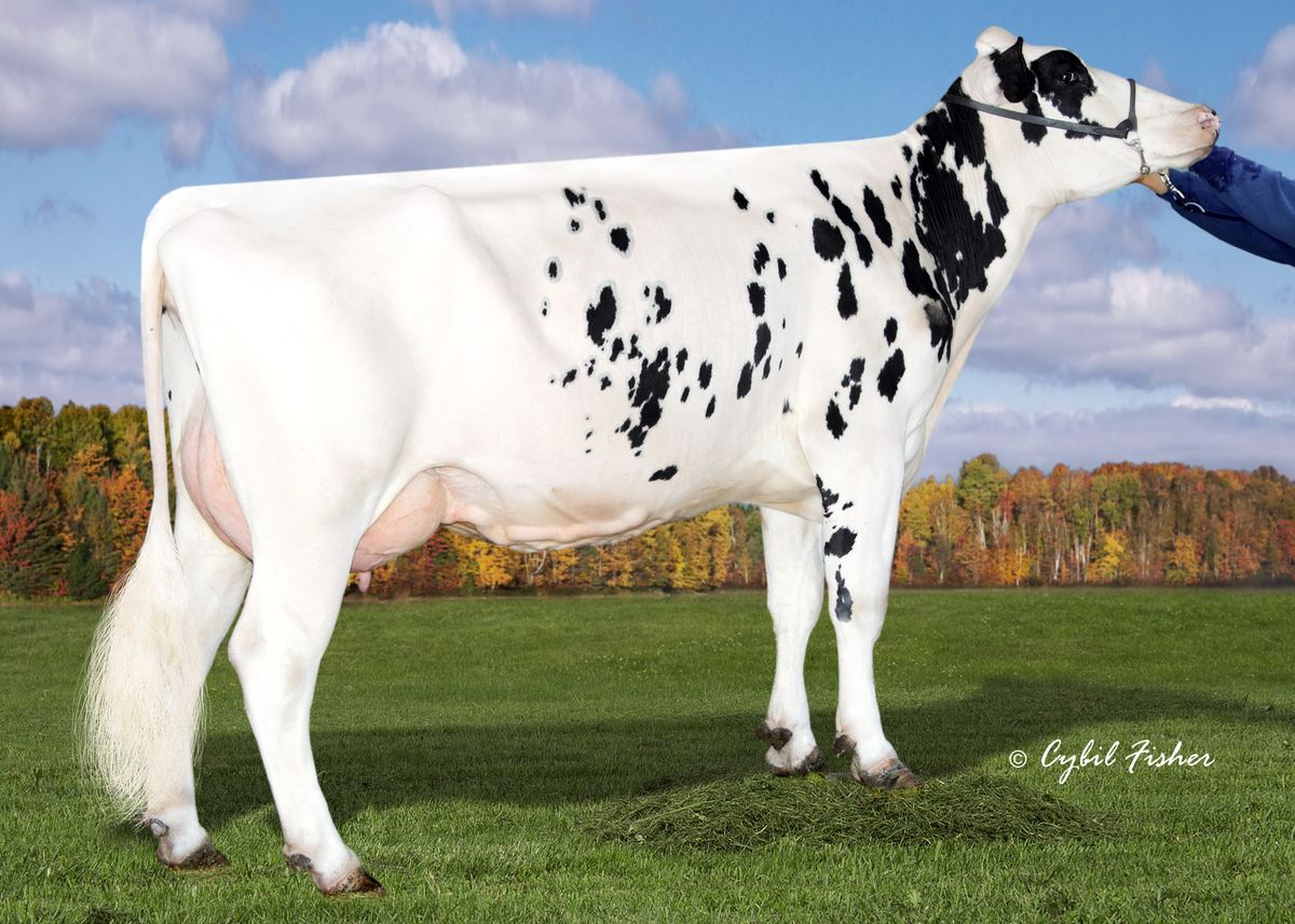 Madre : WELCOME-TEL MASSEY LIOLA ET VG85