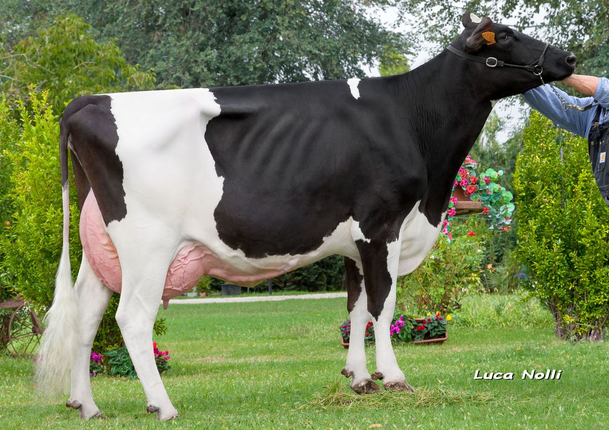 Nonna: Paleotto Planet Channel ET VG86
