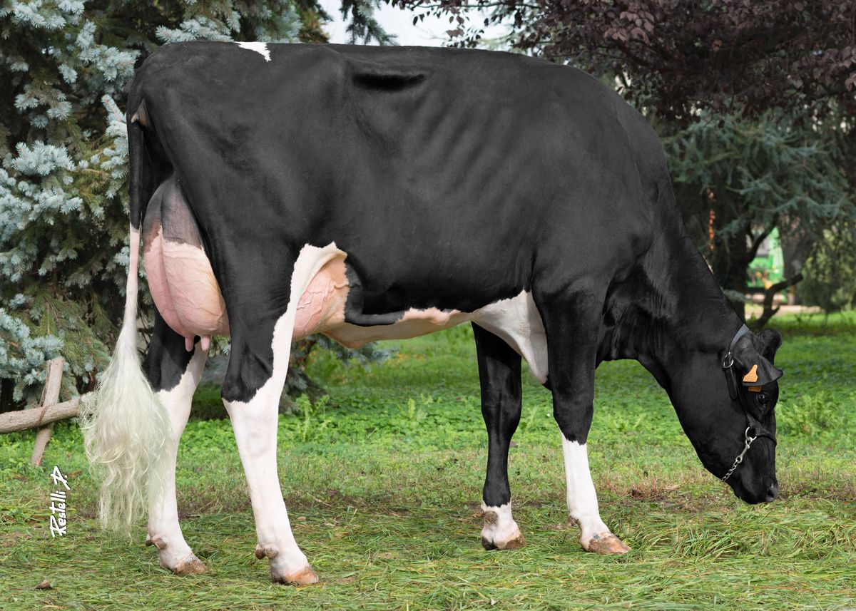 Figlia: DUOMILIA EVA – Soc. Agric. Recagni (LO)