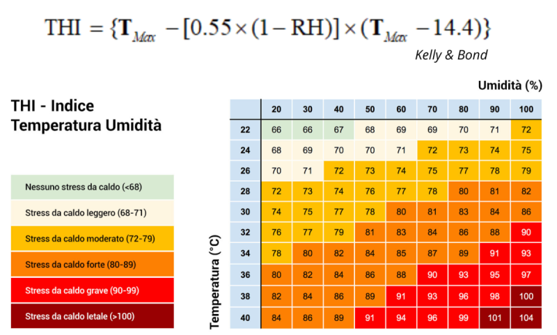 thi-formula