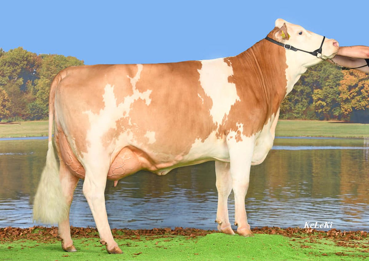 SB HALOIS Pp_Az.AT000460296829_Paola 41