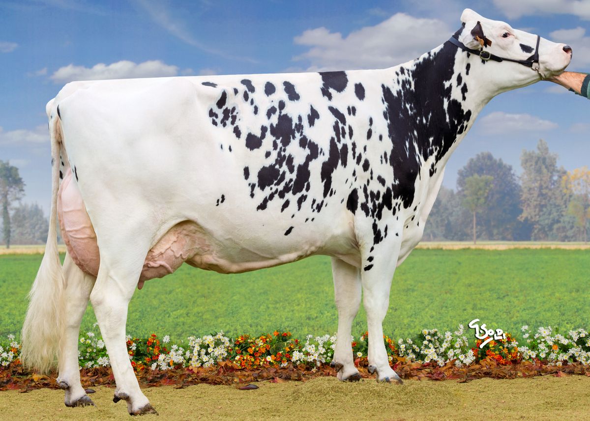 Nonna Sabbiona Candy EX93 – Soc. Agr. Sabbiona (LO) L