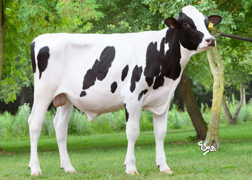 DE000365613719 JORIT PP web_risultato