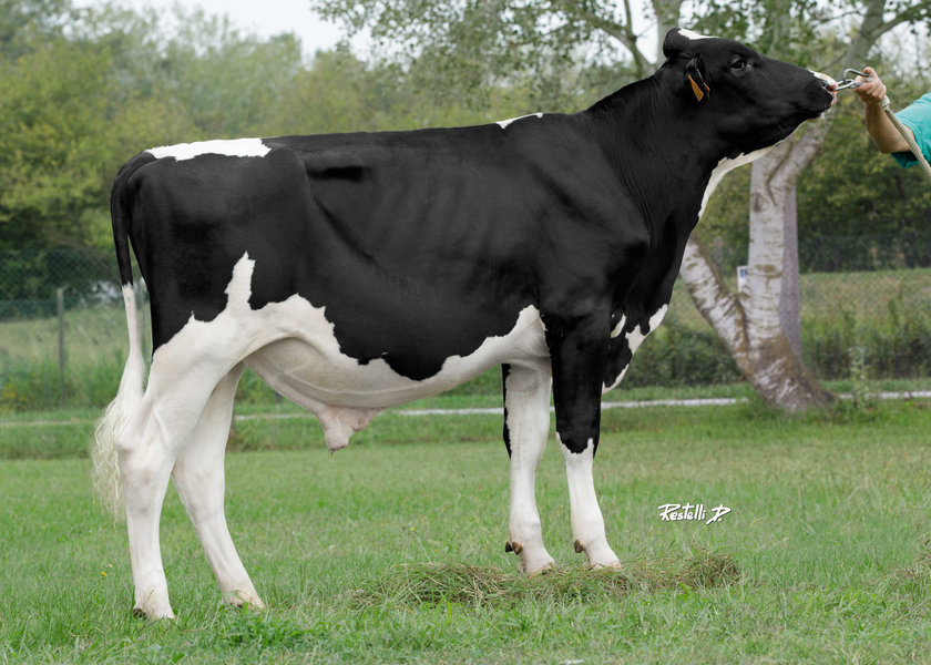 IT001991669602 BELLAVISTA_risultato