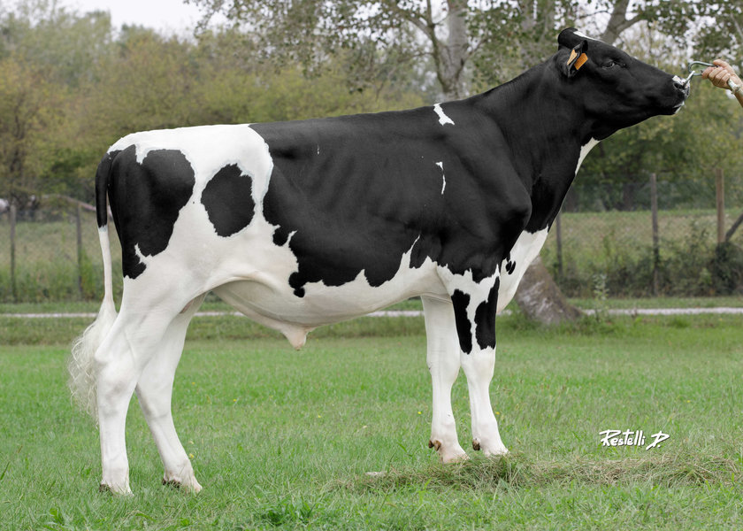 IT019992694007 GASTON_risultato