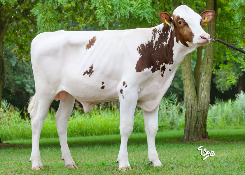 SE004423736757 REDMONDO web_risultato